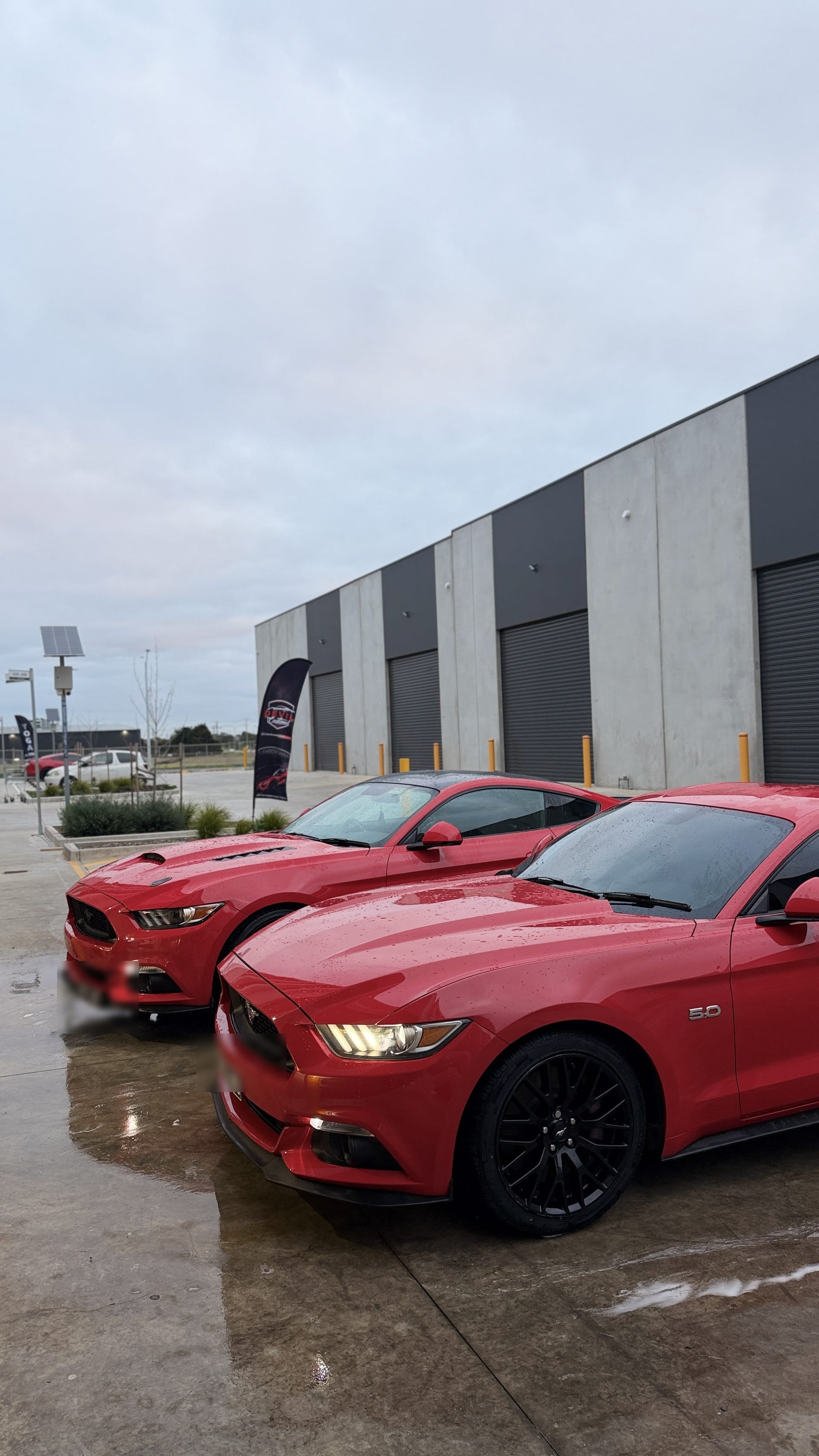 Ford Mustang GT — Wash